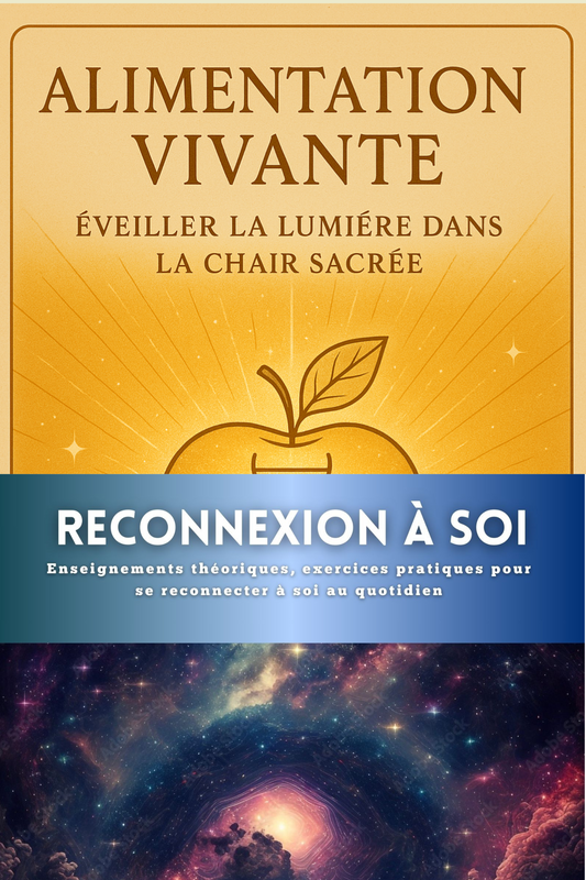 pack - ALIMENTATION / RECONNEXION A SOI