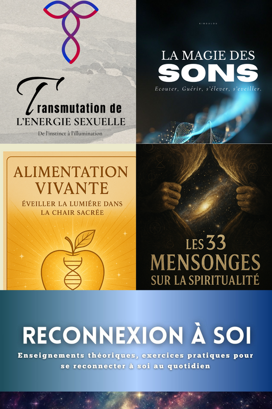 pack - TRANS / RECO / ALIMENT / 33 MENS / MAGIE